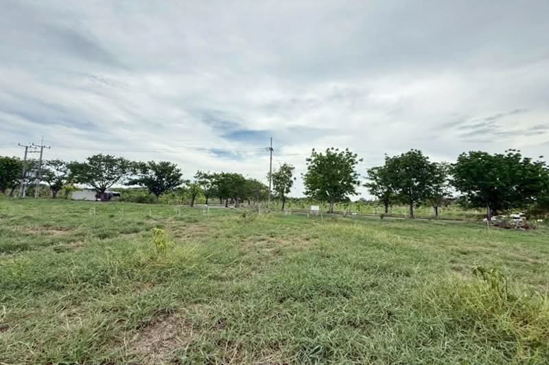 Vichitra Thani Bangna-Trad, Chachoengsao, Baan Tawan Oak Road, Bang Samak, Bang Pakong, Chachoengsao, , 848 sqm, Land For Sale, by สง่าชัย ไทรทองคำ, 500346866 - DDproperty.com