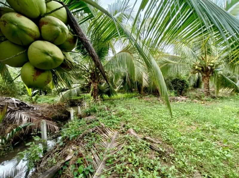 ที่ดินพร้อมสิ่งปลูกสร้างนางตะเคียน สมุทรสงคราม, Samut Songkhram, Nang Ta Khian, Muang Samut Songkhram, Samut Songkhram, , 10,324 sqm, Land For Sale, by The Best Property โอ๋, 500346907 - DDproperty.com