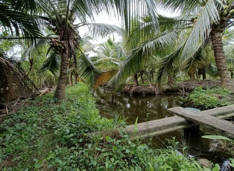 ที่ดินพร้อมสิ่งปลูกสร้างนางตะเคียน สมุทรสงคราม, Samut Songkhram, Nang Ta Khian, Muang Samut Songkhram, Samut Songkhram, , 10,324 sqm, Land For Sale, by The Best Property โอ๋, 500346907 - DDproperty.com