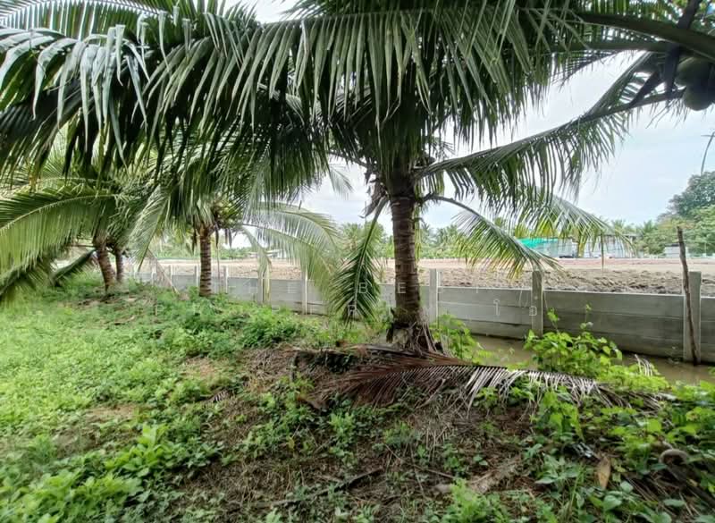 ที่ดินพร้อมสิ่งปลูกสร้างนางตะเคียน สมุทรสงคราม, Samut Songkhram, Nang Ta Khian, Muang Samut Songkhram, Samut Songkhram, , 10,324 sqm, Land For Sale, by The Best Property โอ๋, 500346907 - DDproperty.com