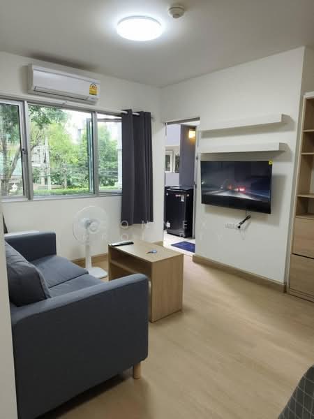My Condo Sukhumvit 81 : มายคอนโด สุขุมวิท81, กรุงเทพ, ซอยสุขุมวิท 81 ถนนสุขุมวิท, บางจาก, พระโขนง, กรุงเทพ, 35 ตร.ม., คอนโด ให้เช่า, โดย Connex Property, 500346924 - DDproperty.com
