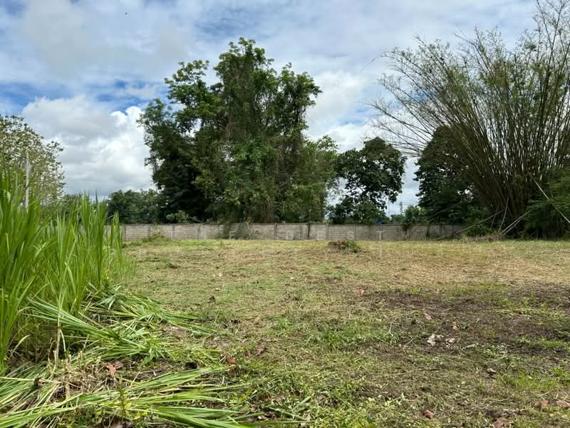บ้านเดี่ยวพร้อมที่ดินแม่จัน เชียงราย, Chiang Rai, San Sai, Mae Chan, Chiang Rai, 3 Bedrooms, 150 sqm, Single Detached House For Sale, by The Best Property ไนล์, 500346925 - DDproperty.com