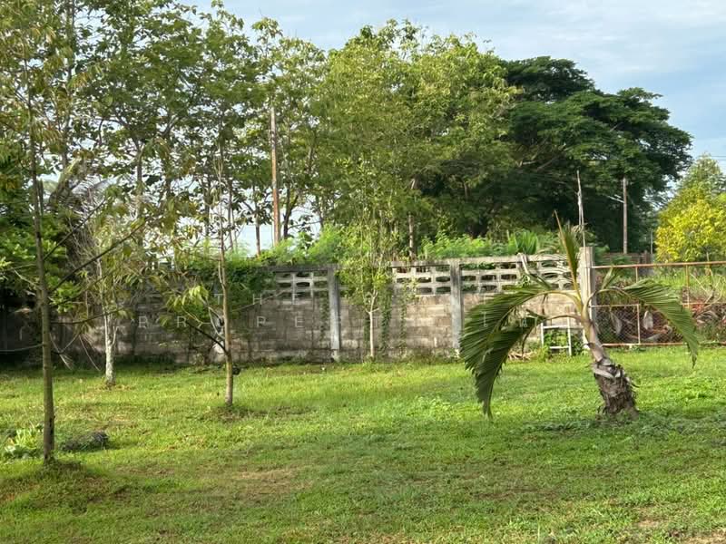บ้านเดี่ยวพร้อมที่ดินแม่จัน เชียงราย, Chiang Rai, San Sai, Mae Chan, Chiang Rai, 3 Bedrooms, 150 sqm, Single Detached House For Sale, by The Best Property ไนล์, 500346925 - DDproperty.com