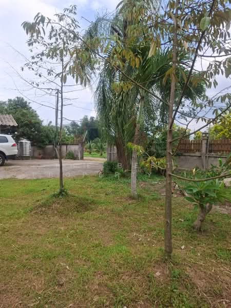 บ้านเดี่ยวพร้อมที่ดินแม่จัน เชียงราย, Chiang Rai, San Sai, Mae Chan, Chiang Rai, 3 Bedrooms, 150 sqm, Single Detached House For Sale, by The Best Property ไนล์, 500346925 - DDproperty.com