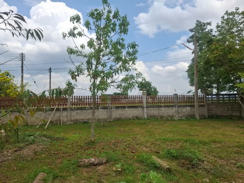 บ้านเดี่ยวพร้อมที่ดินแม่จัน เชียงราย, เชียงราย, สันทราย, แม่จัน, เชียงราย, 150 ตร.ม., บ้านเดี่ยว ขาย, โดย The Best Property ไนล์, 500346925 - DDproperty.com