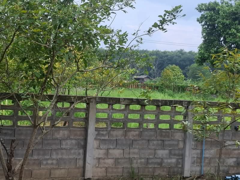 บ้านเดี่ยวพร้อมที่ดินแม่จัน เชียงราย, Chiang Rai, San Sai, Mae Chan, Chiang Rai, 3 Bedrooms, 150 sqm, Single Detached House For Sale, by The Best Property ไนล์, 500346925 - DDproperty.com