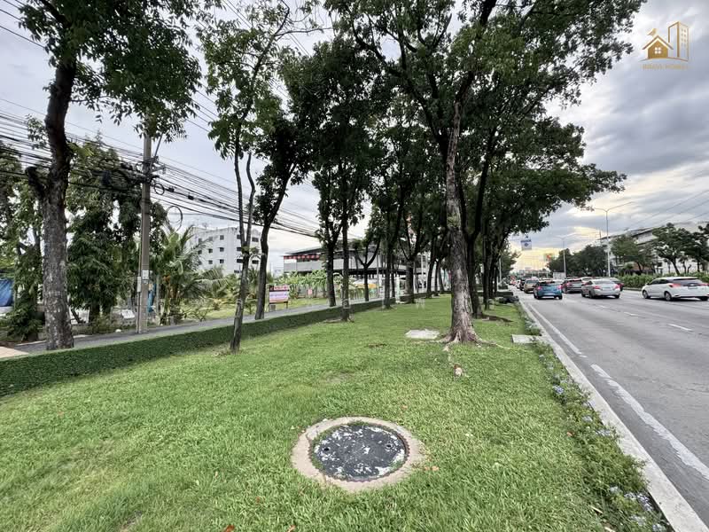 ถนนเพชรเกษม 69/1, Bangkok, Nong Kang Plu, Nong Khaem, Bangkok, , 4,216 sqm, Land For Sale, by ณัฐพล ชือไพเวสน์, 500346935 - DDproperty.com