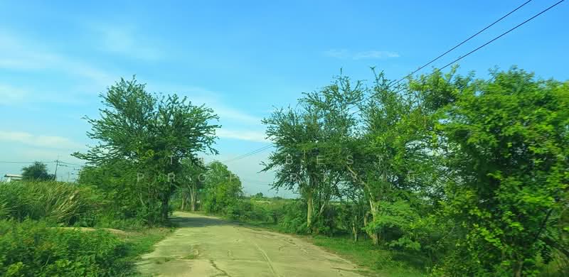 ที่ดินหนองจอก กรุงเทพมหานคร, กรุงเทพ, หนองจอก, กรุงเทพ, 3,320 ตร.ม., ที่ดิน ขาย, โดย The Best Property นิ, 500347062 - DDproperty.com