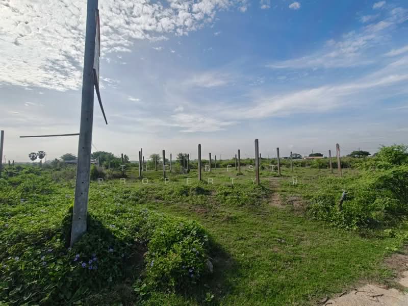 ที่ดินหนองจอก กรุงเทพมหานคร, Bangkok, Nong Chok, Bangkok, , 3,320 sqm, Land For Sale, by The Best Property นิ, 500347062 - DDproperty.com