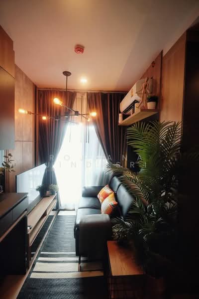 The Tree Sukhumvit 71-Ekamai, Bangkok, 1269 Sukhumvit 71 Road, Suan Luang, Bangkok, 1 Bedroom, 35 sqm, Condo For Rent, by Rojjana Jindasri, 500347063 - DDproperty.com