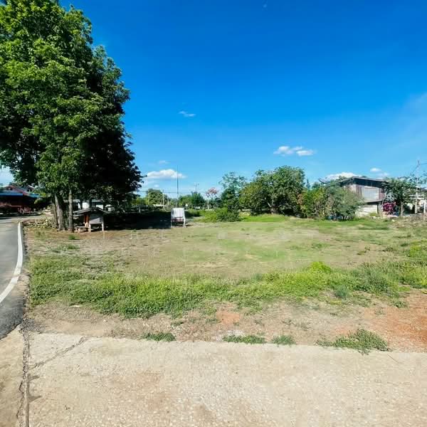 ที่ดินไทรงาม กำแพงเพชร, Kamphaeng Phet, Phan Thong, Sai Ngam, Kamphaeng Phet, , 540 sqm, Land For Sale, by The Best Property แป้ง, 500347080 - DDproperty.com