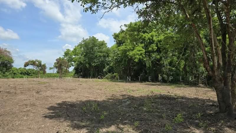 Land for sale in Bang Krabao, almost 2 rai, bordering the Bang Pakong River, Prachin Buri, Bang Krabao, Ban Sang, Prachin Buri, , 3,000 sqm, Land For Sale, by RICHWELL INTERPLUS, 500347179 - DDproperty.com