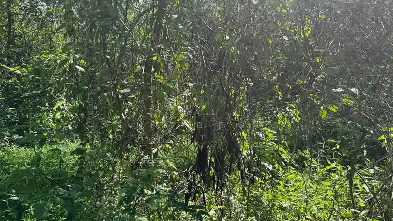 ที่ดินหัวเวียง ลำปาง, Lampang, Hua Wieng, Muang Lampang, Lampang, , 7,924 sqm, Land For Sale, by The Best Property บอย, 500347201 - DDproperty.com