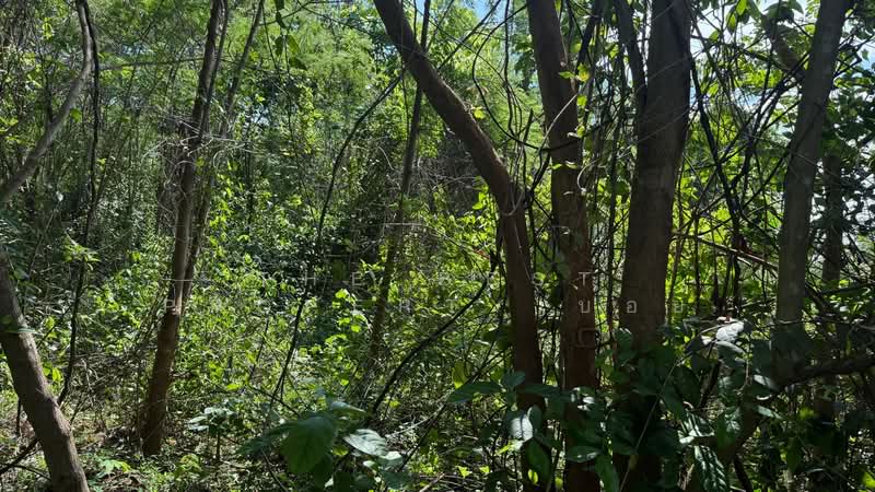 ที่ดินหัวเวียง ลำปาง, Lampang, Hua Wieng, Muang Lampang, Lampang, , 7,924 sqm, Land For Sale, by The Best Property บอย, 500347201 - DDproperty.com
