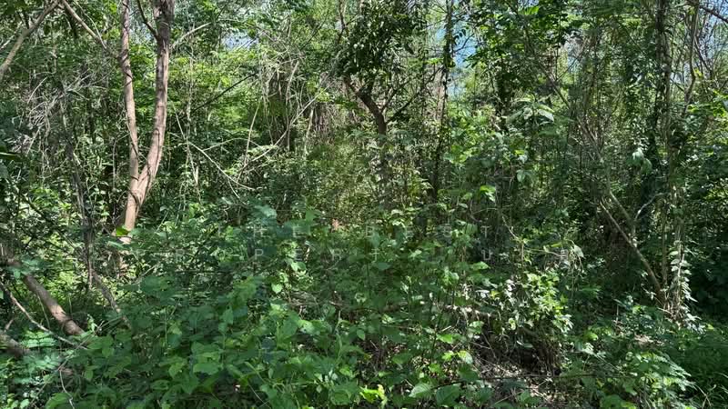 ที่ดินหัวเวียง ลำปาง, Lampang, Hua Wieng, Muang Lampang, Lampang, , 7,924 sqm, Land For Sale, by The Best Property บอย, 500347201 - DDproperty.com