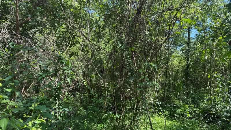ที่ดินหัวเวียง ลำปาง, Lampang, Hua Wieng, Muang Lampang, Lampang, , 7,924 sqm, Land For Sale, by The Best Property บอย, 500347201 - DDproperty.com