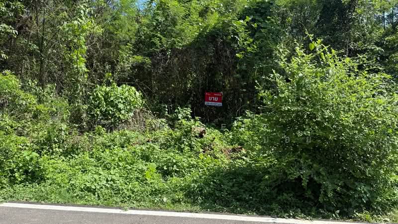 ที่ดินหัวเวียง ลำปาง, Lampang, Hua Wieng, Muang Lampang, Lampang, , 7,924 sqm, Land For Sale, by The Best Property บอย, 500347201 - DDproperty.com