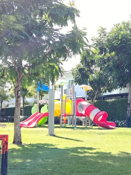 บ้านเดี่ยว, Phuket, Chalong, Muang Phuket, Phuket, 3 Bedrooms, 120 sqm, Semi-Detached House (Twin House) For Rent, by primeglobalasset bee, 500347259 - DDproperty.com