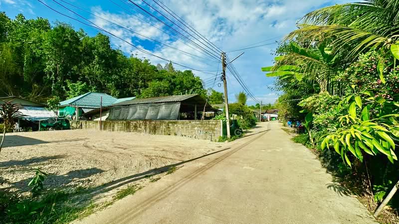 ที่ดิน 52 ตร.ว ถมแล้ว โฉนดครุฑแดงใกล้ประตูเข้า ม.ราชภัฏเชียงใหม่(วิทยาเขตสะลวง) 1 กม, เชียงใหม่, 107, ขี้เหล็ก, แม่ริม, เชียงใหม่, 208 ตร.ม., ที่ดิน ขาย, โดย Pansak Kongklong, 500347293 - DDproperty.com