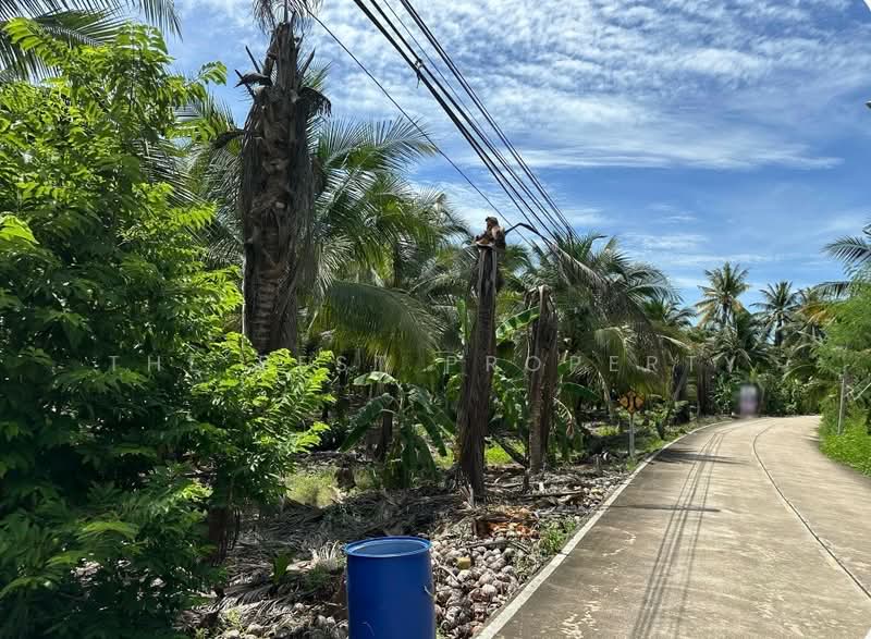 ที่ดินคุ้งน้ำวน ราชบุรี, ราชบุรี, คุ้งน้ำวน, เมืองราชบุรี, ราชบุรี, 10,808 ตร.ม., ที่ดิน ขาย, โดย The Best Property, 500347309 - DDproperty.com