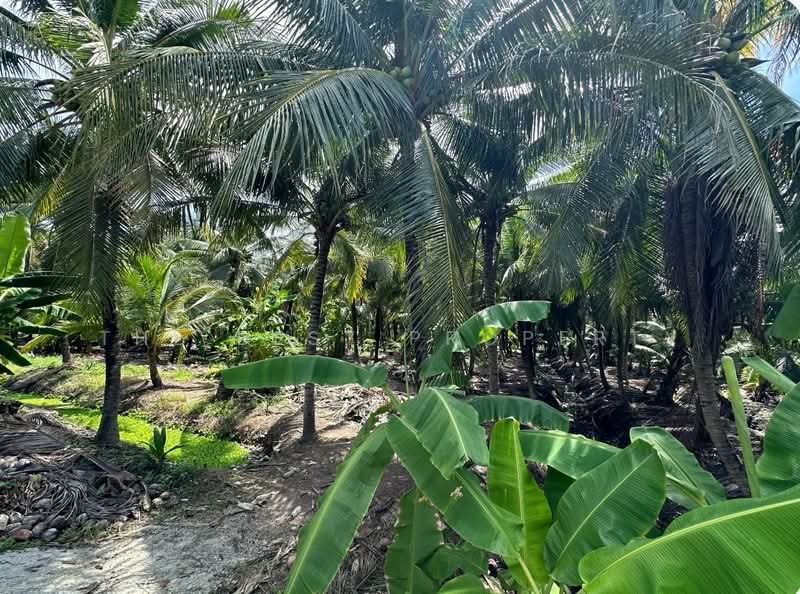ที่ดินคุ้งน้ำวน ราชบุรี, Ratchaburi, Khung Nam Won, Muang Ratchaburi, Ratchaburi, , 10,808 sqm, Land For Sale, by The Best Property, 500347309 - DDproperty.com