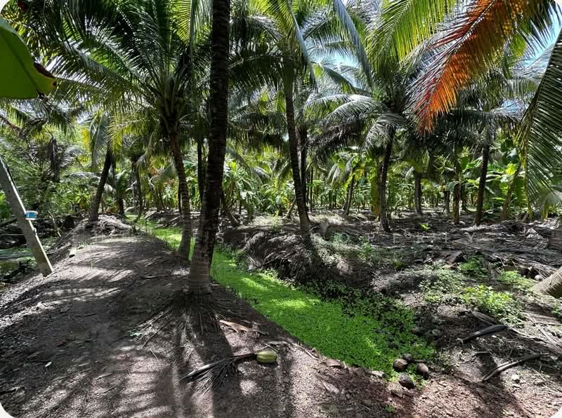 ที่ดินคุ้งน้ำวน ราชบุรี, Ratchaburi, Khung Nam Won, Muang Ratchaburi, Ratchaburi, , 10,808 sqm, Land For Sale, by The Best Property, 500347309 - DDproperty.com