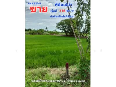 ขาย - ขาย ที่ดินเปล่า ต.หนองเพรางาย อ.ไทรน้อย จ.นนทบุรี, นนทบุรี