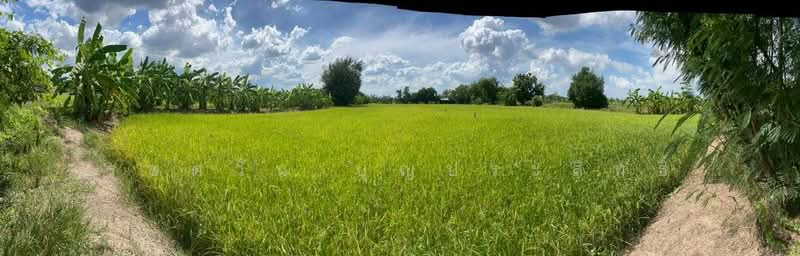 ขาย ที่ดินเปล่า ต.หนองเพรางาย อ.ไทรน้อย จ.นนทบุรี, นนทบุรี, หนองเพรางาย, ไทรน้อย, นนทบุรี, 464 ตร.ม., ที่ดิน ขาย, โดย รชตวัน บุญประสิทธิ์, 500347311 - DDproperty.com