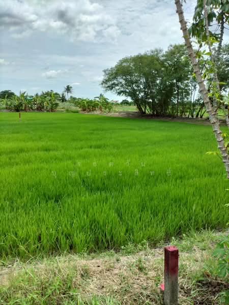 ขาย ที่ดินเปล่า ต.หนองเพรางาย อ.ไทรน้อย จ.นนทบุรี, Nonthaburi, Nong Prao Ngai, Sai Noi, Nonthaburi, , 464 sqm, Land For Sale, by รชตวัน บุญประสิทธิ์, 500347311 - DDproperty.com