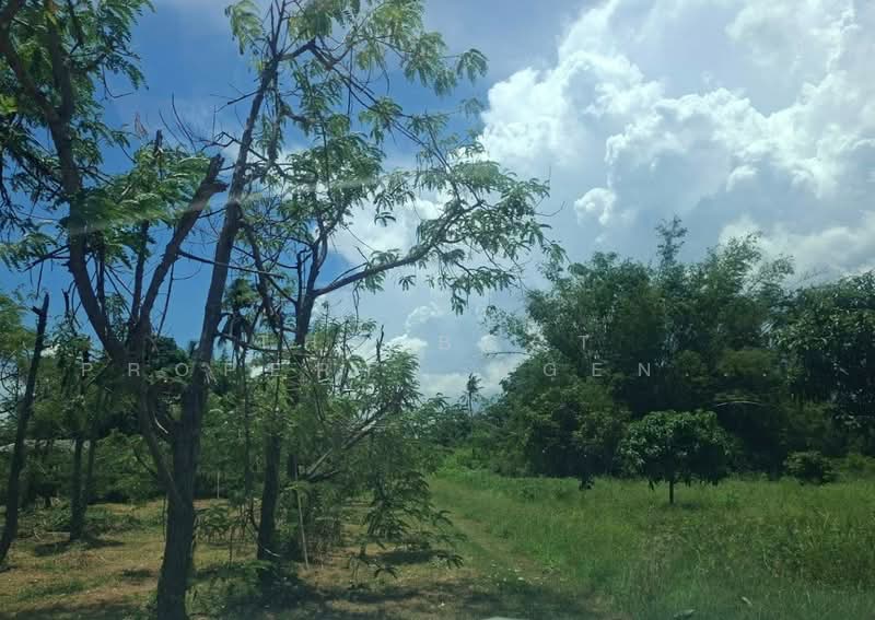 ที่ดินหนองรี ชลบุรี, Chon Buri (Pattaya), Nong Ri, Muang Chon Buri, Chon Buri (Pattaya), , 800 sqm, Land For Sale, by The Best Property Agent นุ้ย, 500347369 - DDproperty.com