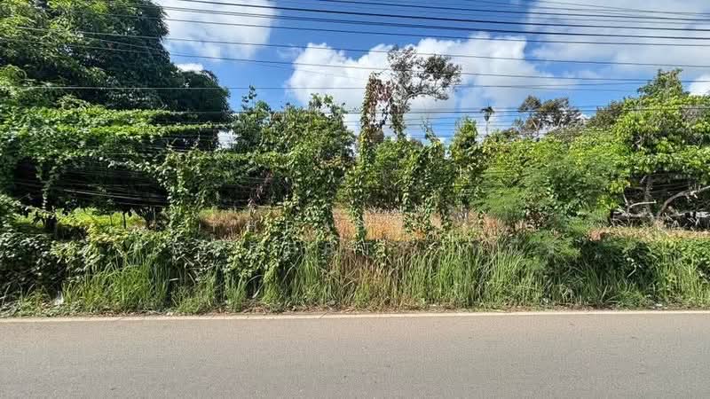 ที่ดินท่าใหม่ จันทบุรี, จันทบุรี, เขาวัว, ท่าใหม่, จันทบุรี, 4,560 ตร.ม., ที่ดิน ขาย, โดย The Best Property หนึ่ง, 500347379 - DDproperty.com
