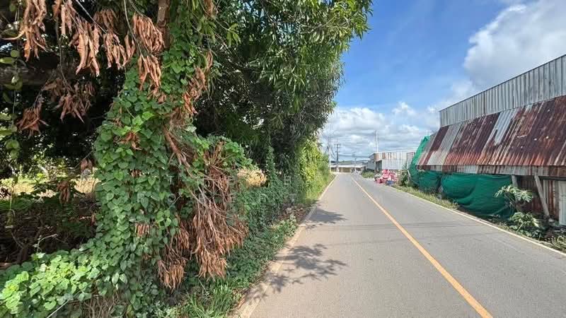 ที่ดินท่าใหม่ จันทบุรี, Chanthaburi, Khao Wua, Tha Mai, Chanthaburi, , 4,560 sqm, Land For Sale, by The Best Property หนึ่ง, 500347379 - DDproperty.com