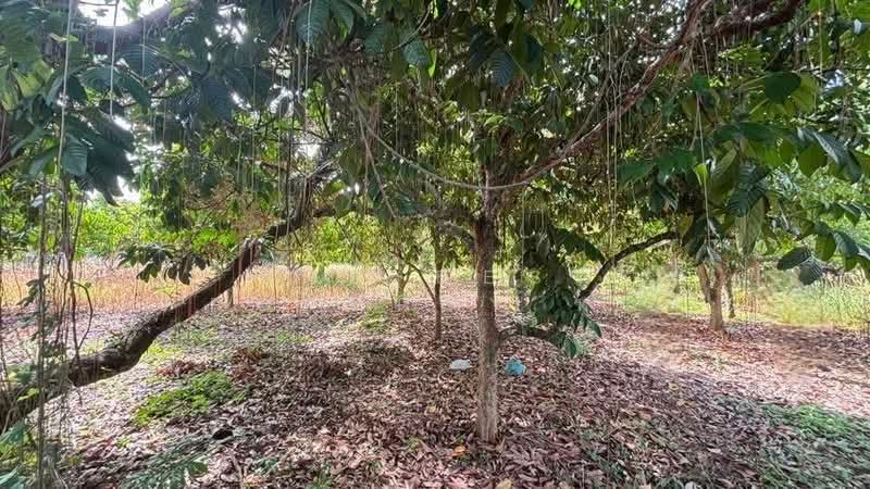 ที่ดินท่าใหม่ จันทบุรี, Chanthaburi, Khao Wua, Tha Mai, Chanthaburi, , 4,560 sqm, Land For Sale, by The Best Property หนึ่ง, 500347379 - DDproperty.com