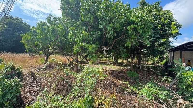 ที่ดินท่าใหม่ จันทบุรี, Chanthaburi, Khao Wua, Tha Mai, Chanthaburi, , 4,560 sqm, Land For Sale, by The Best Property หนึ่ง, 500347379 - DDproperty.com