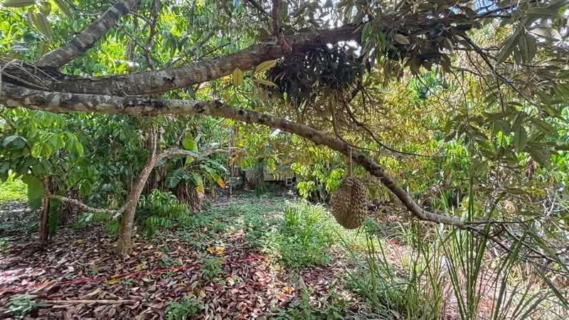 ที่ดินท่าใหม่ จันทบุรี, Chanthaburi, Khao Wua, Tha Mai, Chanthaburi, , 4,560 sqm, Land For Sale, by The Best Property หนึ่ง, 500347379 - DDproperty.com