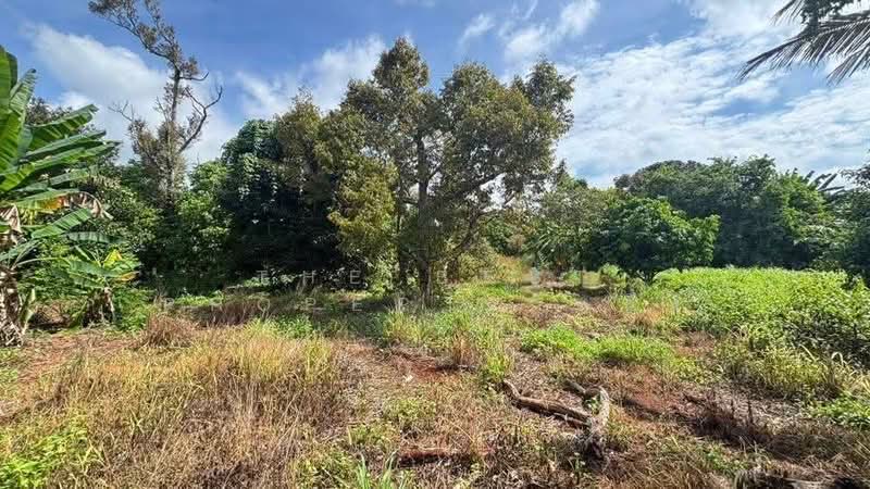 ที่ดินท่าใหม่ จันทบุรี, Chanthaburi, Khao Wua, Tha Mai, Chanthaburi, , 4,560 sqm, Land For Sale, by The Best Property หนึ่ง, 500347379 - DDproperty.com