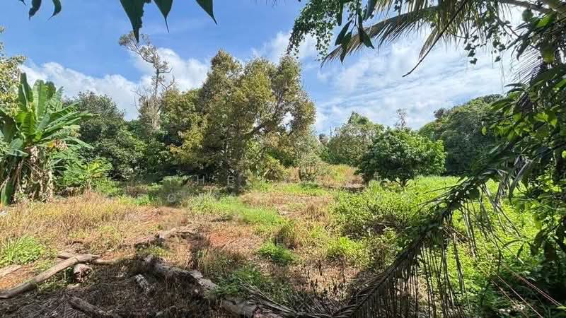 ที่ดินท่าใหม่ จันทบุรี, Chanthaburi, Khao Wua, Tha Mai, Chanthaburi, , 4,560 sqm, Land For Sale, by The Best Property หนึ่ง, 500347379 - DDproperty.com