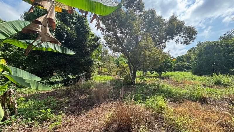 ที่ดินท่าใหม่ จันทบุรี, จันทบุรี, เขาวัว, ท่าใหม่, จันทบุรี, 4,560 ตร.ม., ที่ดิน ขาย, โดย The Best Property หนึ่ง, 500347379 - DDproperty.com