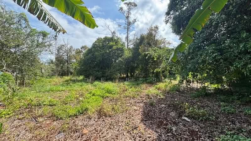 ที่ดินท่าใหม่ จันทบุรี, Chanthaburi, Khao Wua, Tha Mai, Chanthaburi, , 4,560 sqm, Land For Sale, by The Best Property หนึ่ง, 500347379 - DDproperty.com