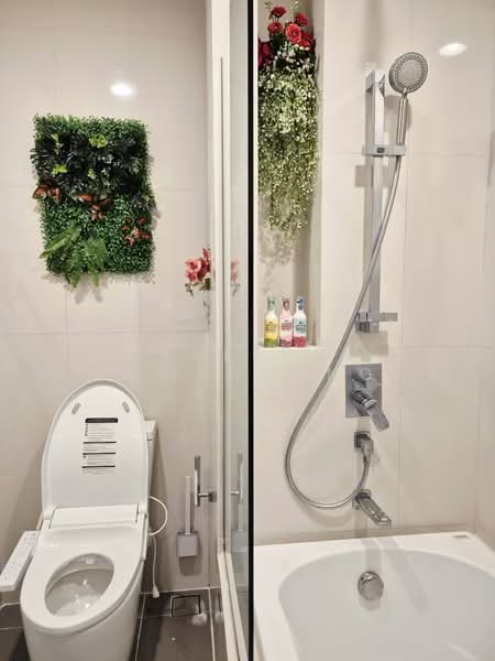 Oka Haus Sukhumvit 36, Bangkok, 3399 Rama 4 Road, Khong Tan, Khlong Toei, Bangkok, 1 Bedroom, 35 sqm, Condo For Rent, by Nareerat Pimsawang, 500347487 - DDproperty.com