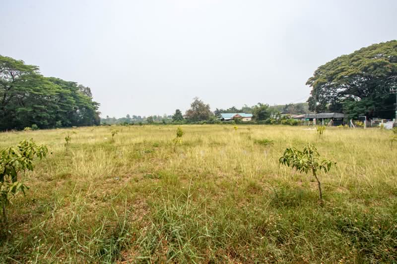 Land for Sale in Ton Pao San Kamphaeng, Chiang Mai, San Ton Pao, San Kamphaeng, Chiang Mai, , 8,460 sqm, Land For Sale, by คุณ รุ่งทิพย์, 500347488 - DDproperty.com