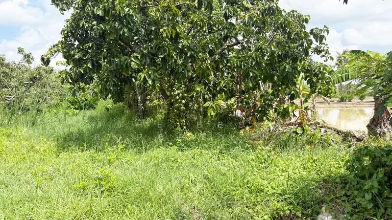 ที่ดินสันกำแพง เชียงใหม่, Chiang Mai, Buak Sang, San Kamphaeng, Chiang Mai, , 3,492 sqm, Land For Sale, by The Best Property บอย, 500347508 - DDproperty.com