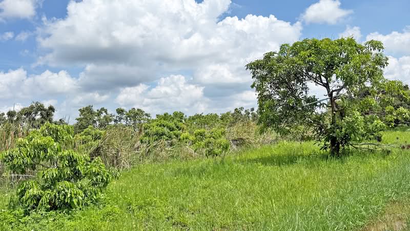 ที่ดินสันกำแพง เชียงใหม่, Chiang Mai, Buak Sang, San Kamphaeng, Chiang Mai, , 3,492 sqm, Land For Sale, by The Best Property บอย, 500347508 - DDproperty.com