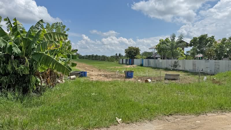 ที่ดินสันกำแพง เชียงใหม่, Chiang Mai, Buak Sang, San Kamphaeng, Chiang Mai, , 3,492 sqm, Land For Sale, by The Best Property บอย, 500347508 - DDproperty.com