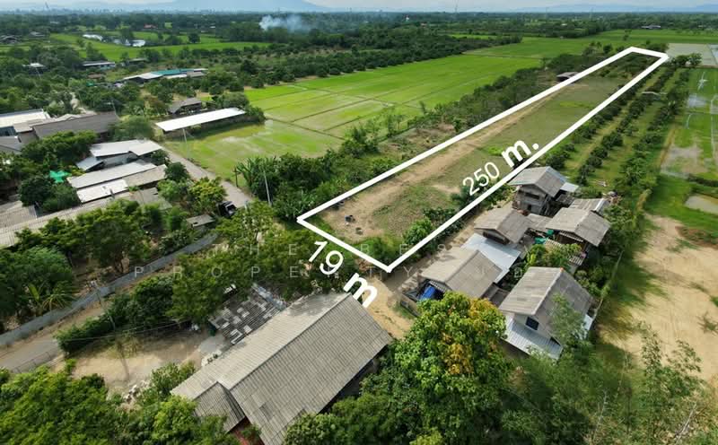 ที่ดินสันกำแพง เชียงใหม่, Chiang Mai, Buak Sang, San Kamphaeng, Chiang Mai, , 3,492 sqm, Land For Sale, by The Best Property บอย, 500347508 - DDproperty.com