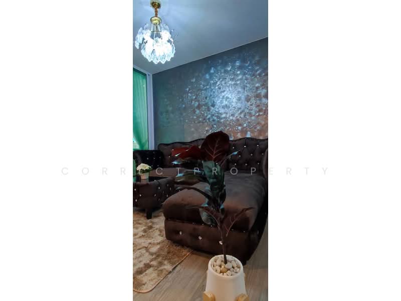 Regent Home Bangna, Bangkok, Sanphawut Road, Bang Na Tai, Bang Na, Bangkok, 1 Bedroom, 28 sqm, Condo For Rent, by CorrectProperty, 500347582 - DDproperty.com