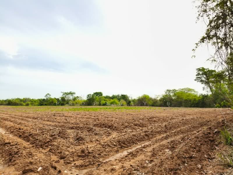 ที่ดินขามทะเลสอ นครราชสีมา, Nakhon Ratchasima, Pong Daeng, Kham Thale So, Nakhon Ratchasima, , 25,064 sqm, Land For Sale, by The Best Property ยุ, 500347655 - DDproperty.com