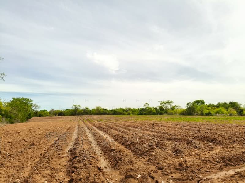 ที่ดินขามทะเลสอ นครราชสีมา, Nakhon Ratchasima, Pong Daeng, Kham Thale So, Nakhon Ratchasima, , 25,064 sqm, Land For Sale, by The Best Property ยุ, 500347655 - DDproperty.com