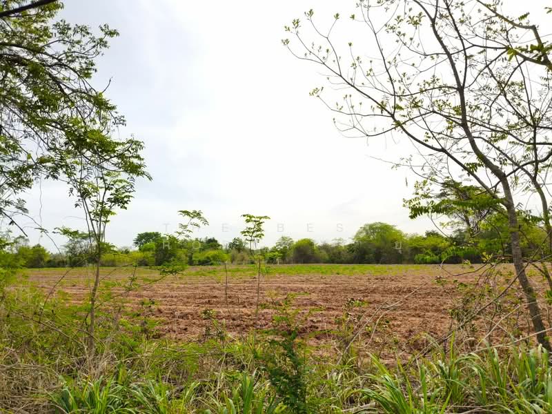 ที่ดินขามทะเลสอ นครราชสีมา, Nakhon Ratchasima, Pong Daeng, Kham Thale So, Nakhon Ratchasima, , 25,064 sqm, Land For Sale, by The Best Property ยุ, 500347655 - DDproperty.com