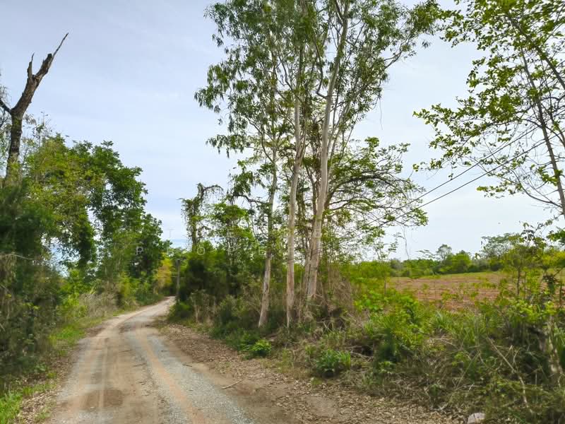 ที่ดินขามทะเลสอ นครราชสีมา, นครราชสีมา, โป่งแดง, ขามทะเลสอ, นครราชสีมา, 25,064 ตร.ม., ที่ดิน ขาย, โดย The Best Property ยุ, 500347655 - DDproperty.com